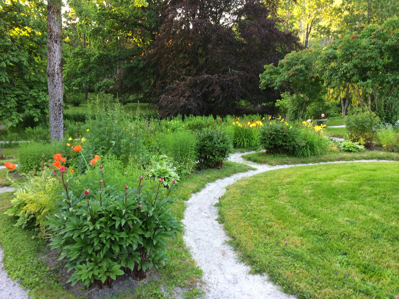 Luroy Farm garden photo